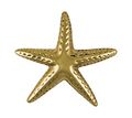 Starfish Door Knocker Brass Standard Size 