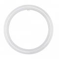 Satco 12 Inch 16w T9 Led Circline G10q Base Replacement Lamp-6500 Color Temperature-white Finish