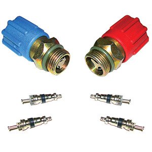 Santech Mt2910 Cap Valve Kit See Appl
