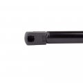 Ocpty 2 Hood Trunk Lift Supports Gas Springs Struts Shocks For Chrysler 300 2005-2008
