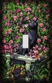 Rose Garden Cat Decorative Switchplate Cover 