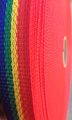 2 Inch Polypropylene Webbing0 Yards Light Weight Various Colors Strap Socal Rainbow 