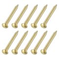 50pcs Small Hardware Nails 2 X 20mm Brass Round Head Common Finishing Nail For Household Woodworking Picture Hanging Diy 