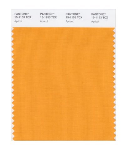 Pantone Smart 15-1153x Color Swatch Card Apricot