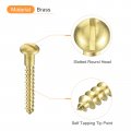 Uxcell Wood Screws M3 X 25mm Slotted Round Head Brass Self-tapping Woodworking Screw 60 Pcs