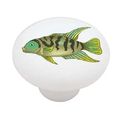 African Cichlid Convict Decorative High Gloss Ceramic Drawer Knob 