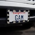 Sugar Glider Of The Night License Plate Tag Frame