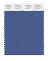 Pantone Smart 18-3928x Color Swatch Card Dutch Blue 