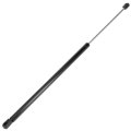 Hood Struts Lift Supports Gas Spring Prop Cylinder For Buick Enclave 2008 2014 11 3 In Set Of 2 Replaces 6164 