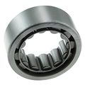 Wjb Wbr1561tv Rear Wheel Cylindrical Roller Bearing Cross Reference National R1561tv Timken Skf 1 Pack 