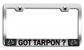 Got Tarpon Fishing Chrome Metal License Plate Frame Tag Holder E54 