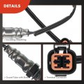 A-premium O2 Oxygen Sensor Compatible With Hyundai Accent 2000-2002 Elantra 2001-2012 Tiburon 2003-2008 Tucson 2005-2009 Kia