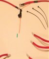 Glow Plug Harness Kit For Chevrolet Gmc 6 5l Turbo Diesel Engine Motor Red