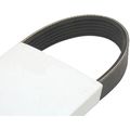Forklift Fan Belt Serpentine 580020334 For Yale Forklifts 
