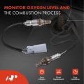 A-premium O2 Oxygen Sensor Compatible With Gmc Acadia 20-21 Cadillac Xt5 Xt4 19-21 Xt6 Ct5 Ct4 Buick Envision Encore Gx
