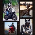Girl Women Cat Ear Bluetooth Motorcycle Helmet Dot Certification Full Face Flip-up Motorbike Cool Cute Helmets With Hd Visor