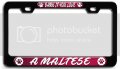 Bark If You Love A Maltese Dogs Pets 3d Metal License Plate Frame Universal Fit For Auto Suv And Truck Tag Holder 12 X 6 In 