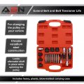 Abn Alternator Pulley Service Decoupler 18-piece Insert Bit Socket Set Tool Kit A Car Removal Decoupling Puller