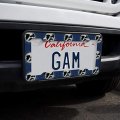 Ravens Flying Through Snow License Plate Tag Frame
