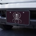 Graphics More Creepy Bone Skeleton Spider Novelty Metal Vanity Tag License Plate