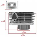 Caltric Cylinder Piston Rings And Gasket Compatible With Yamaha Tri-moto Ytm225dx Ytm225dr 1984 1985 1986