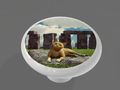 Stonehenge Cat High Gloss Ceramic Drawer Knob 