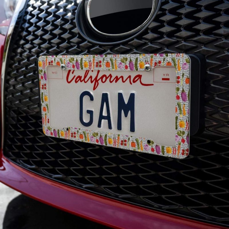 Veggin Veggies Vegetables Pattern License Plate Tag Frame