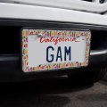 Veggin Veggies Vegetables Pattern License Plate Tag Frame