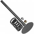 Caltric Intake Valve Kit Compatible With Kawasaki Kfx700 2005-2009 2006 Aranc Ig Prairie 700 Kvf700 4x4 2005-2007