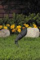 Vista Pro Up And Accent Landscape Lighting Gr 2216 Black 
