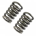Caltric 2x Valve Springs Canam Commander Max 1000r 2018 2019 2020 2021 