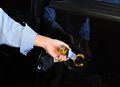 Gumout 800001367 Fuel System Cleaner 6 Oz 