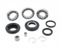 Fits Honda Rancher 400 Trx400 Rear Differential Bearing And Seal Kit