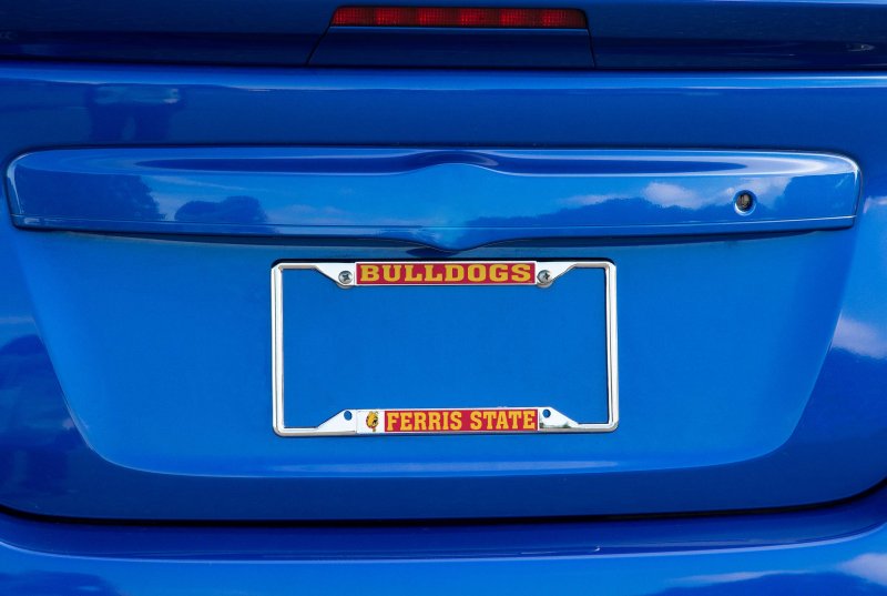 Desert Cactus Ferris State University Fsu Bulldogs Metal License Plate Frame For Front Or Back Of Car Officially Licensed