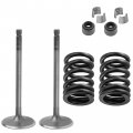 Caltric 2x Intake Valve Kit Compatible With Yamaha 4g0-12118-00-00 5vk-12111-00-00 5vk-12113-00-00
