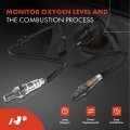 A-premium O2 Oxygen Sensor Compatible With Audi S8 2007 5 2l Upstream And Downstream 2-pc Set Replace 06a906262cl