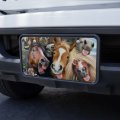 Graphics More Horses Selfie Novelty Metal Vanity Tag License Plate