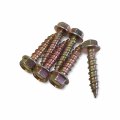 Polaris 2014-22 Sportsman Scrambler Ace Clutch Cover Screws 6 Pack 