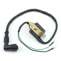 2-wire Ignition Coil Ht Lead Cap For 50cc 70cc 90cc 110cc 125cc 4-stroke Atv Pit Dirt Bike Go Kart Quad Buggy Chinese Xr50 