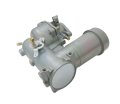 392587 Carburetor For Briggs And Stratton 391065 391074 391992 394745 Engine Replace Number 190407 190412 190415 190416 190417