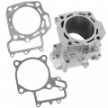 Caltric Front Cylinder With Gaskets Compatible Kawasaki Brute Force 750 Kvf750 4x4i 2005 2006 2007-2011