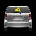 York State Shaped Gadsden Flag Windshield Sticker Self Adhesive Vinyl Ny Fa 