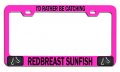 I D Rather Be Catching Redbreast Sunfish Fishing Pink Metal License Plate Frame Tag Holder M64 