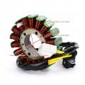 Topteng Motorcycle Stator 5 Wires Magneto Coil Generator Engine Fits For Arctic Cat Bearcat Z1 Xt Gs 2012-2014 3007-231