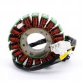 Topteng Motorcycle Stator 5 Wires Magneto Coil Generator Engine Fits For Arctic Cat Bearcat Z1 Xt Gs 2012-2014 3007-231