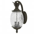Acclaim 7502bc Lanai Collection 2-light Wall Mount Outdoor Light Fixture Black Coral 