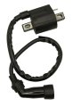 Ignition Coil For Yamaha Scooter Cw 50 Cw50 Zuma 1999-2001 