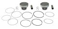 Namura Na-20077 2 Standard Bore Size A Piston Kits For Kawasaki Teryx 800 Teryx-4 800-85mm 