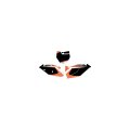 Factory Effex 19-64530 Black Pre-cut Graphics Number Plate Background 