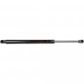 Lift Supports Gas Springs Struts Shocks 6103 6303 Pm1008 Sg314046 Sg414051 Strut Fits For Dodge Magnum 2005-2008